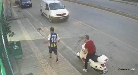 Samsun'da kediye tekme atan vicdansız şahıs yakalandı