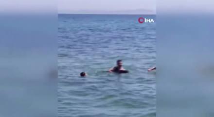 Şark&ouml;y'de denize girenlerin arasına yavru yunus daldı: Eğlenceli anlar kamerada