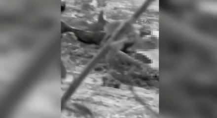 Batman&rsquo;da mezarlıkta silahlı saldırı: 3 &ouml;l&uuml;, 2 yaralı