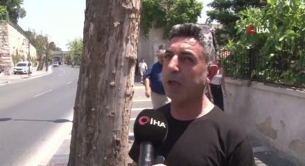 Beşiktaş&rsquo;ta asırlık &ccedil;ınar ağa&ccedil;ları bakımsız kaldı: B&ouml;lgenin simgesi ağa&ccedil;lar kurudu