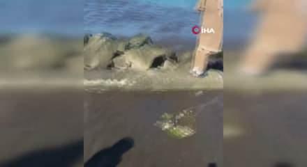 Kanalizasyon suyu sahilde vatandaşların &uuml;zerine aktı