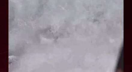 16 yaşındaki cankurtaran ABD'de g&uuml;ndem oldu