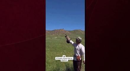 Hedefini şaşıran kaya kartalı k&ouml;peği avlamak istedi