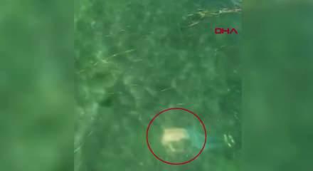 Dron sayesinde &ouml;l&uuml;mden d&ouml;nd&uuml;: Boğulan vatandaş b&ouml;yle kurtarıldı!