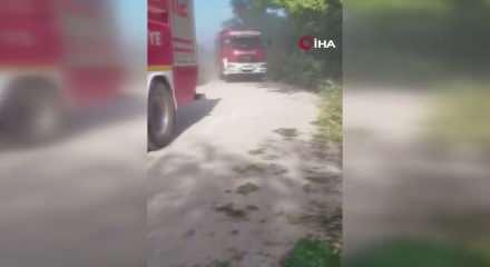 Kocaeli'de otomobil dereye u&ccedil;tu: S&uuml;r&uuml;c&uuml; hayatını kaybetti