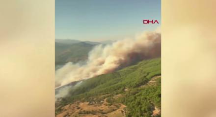 Muğla'da orman yangını kabusu