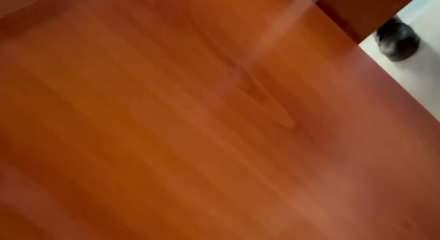 İzmit Belediyesi'ne y&ouml;nelik y&uuml;r&uuml;t&uuml;len yolsuzluk soruşturmasında r&uuml;şvet g&ouml;r&uuml;nt&uuml;leri ortaya &ccedil;ıktı