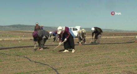 Resmi Gazete'de yayımlandı: Tarım arazisi sahiplerini ilgilendiren dev karar