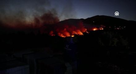 Yunanistan'daki orman yangınlarında 13 bin hektar k&uuml;l oldu