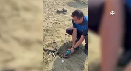 Balıkesir'de sabitlenen şezlong ve şemsiyeler sahilden toplandı
