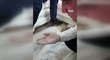 Fare dışkısından ve b&ouml;cekten ge&ccedil;ilmeyen fırındaki dondurucudan paslı keser &ccedil;ıktı