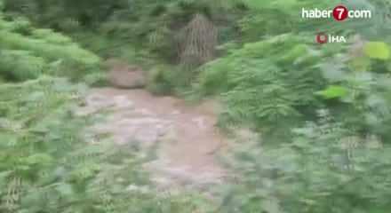 Giresun'da iki kız kardeşin ardından annelerinin de cansız bedenine ulaşıldı