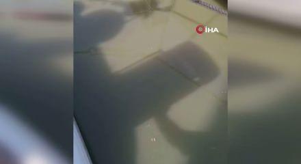 İSKİ'nin "ka&ccedil;ak hat" oyunu bozuldu!