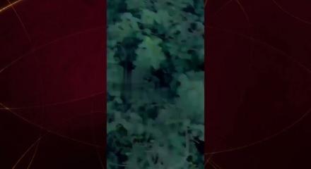Yarım saat arayla iki kez vurdular! Rusya'nın AVM saldırısında korkun&ccedil; bilan&ccedil;o