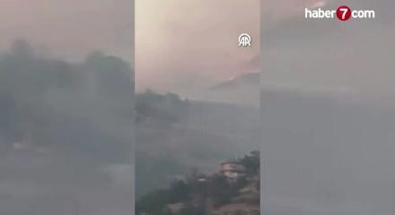 Başkentte ağa&ccedil;lık alanda &ccedil;ıkan yangına m&uuml;dahale ediliyor