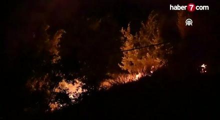 Bitlis'te mezarlıkta &ccedil;ıkan yangın s&ouml;nd&uuml;r&uuml;ld&uuml;