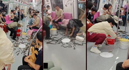 &Ccedil;in'de devrilen kovadan sa&ccedil;ılan yılan balıkları metroda panik yarattı