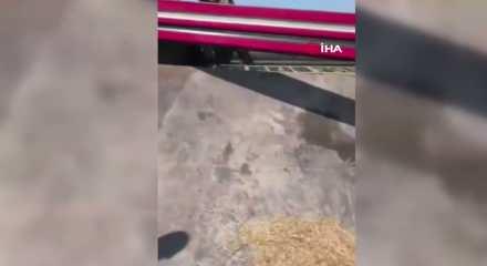 Hatay'da trakt&ouml;r r&ouml;morkunda binlerce saka kuşu &ccedil;ıktı!