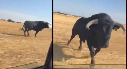 Kızgın boğa araca saldırdır korku dolu anlar kameralara yansıd