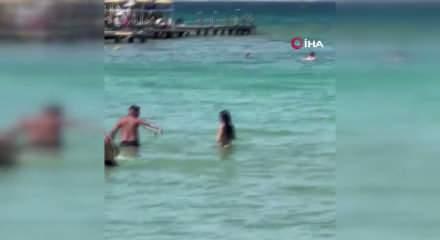 &Ccedil;eşme&rsquo;de denizde g&ouml;r&uuml;len yılan paniğe neden oldu
