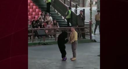 &Ccedil;in'deki safari parkında ayı bakıcısına saldırdı
