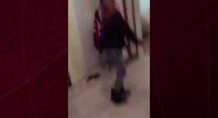Sokakta buldukları kaplumbağayı eve getirerek  işkence ettiler
