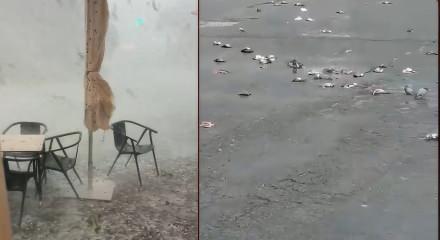 Fırtına ve dolu yağışı İspanya'yı savaş alanına &ccedil;evirdi