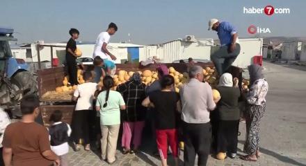 Hatay'da t&uuml;ccarın bi&ccedil;tiği fiyata kafası atan &ccedil;ift&ccedil;iden 50 tonluk hayır