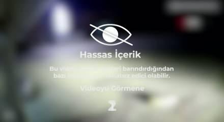 Kapı ge&ccedil; a&ccedil;ılınca hıncını k&ouml;pekten &ccedil;ıkardı! Aracıyla b&ouml;yle ezdi