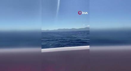 Feribot faciasında gen&ccedil;lerin &ouml;l&uuml;m kalım m&uuml;cadelesi: "Anne &ouml;l&uuml;yoruz, hakkını helal et"