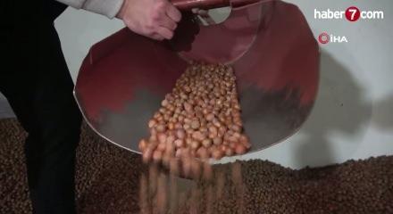 Fındık ihracatı kasayı doldurdu!
