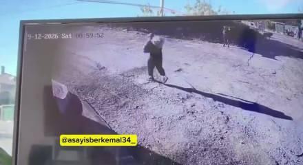 Kemerburgaz'da k&ouml;peklerin saldırdığı yaşlı adam son anda kurtardılar