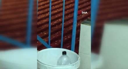 Adana'da yumruk b&uuml;y&uuml;kl&uuml;ğ&uuml;nde dolu yağışı tarım arazilerine zarar verdi