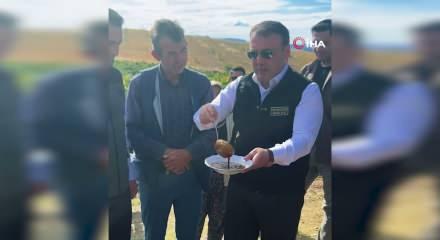 Bilecik&rsquo;te &uuml;z&uuml;m hasadı başladı: 8 bin 100 ton rekolte bekleniyor