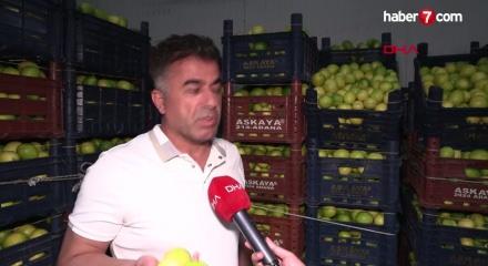 Hasat başladı: Dalında 5 TL, markette 100 TL!