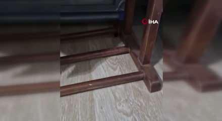  Adana'da cırcır b&ouml;ceği sesleri vatandaşları uyutmuyor