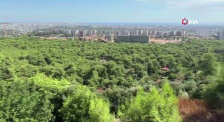 Antalya'da korkutan orman yangını! &Ccedil;ok sayıda ekip sevk edildi!