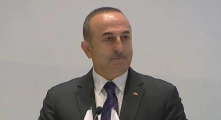 Eski Bakan &Ccedil;avuşoğlu&rsquo;nun Fransız vekile yıllar &ouml;nceki tarihi ayarı: "Ger&ccedil;ekleri duymaya alışacaksınız"