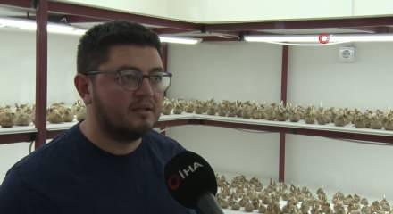 "Kayseri&rsquo;de yetişmez" dediler, dinlemedi &uuml;retti! Kilogramı 900 bin TL