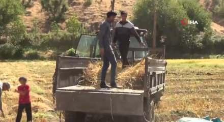 250 yıldır aynı tohumla &uuml;retiliyor! Burada teknoloji kullanılmıyor!