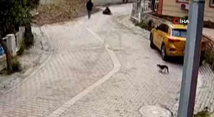 Avcılar'da korkun&ccedil; kaza: Yaşlı kadın 4 metrelik r&ouml;gara d&uuml;şt&uuml;
