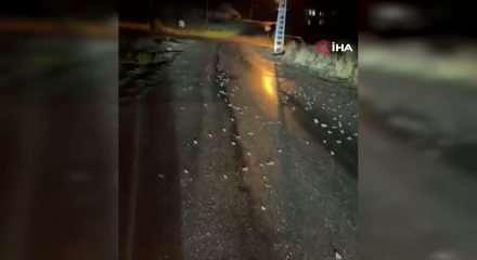 Bing&ouml;l'de y&uuml;zlerce kurbağa kara yoluna &ccedil;ıktı