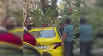 Nişantaşı'nda korku dolu anlar! K&ouml;k&uuml;nden s&ouml;k&uuml;len ağa&ccedil; ara&ccedil;ları b&ouml;yle ezdi