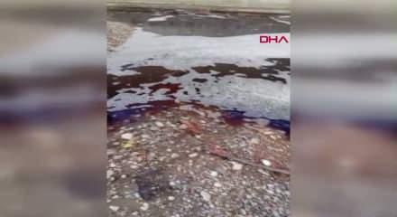 Yalova a&ccedil;ıklarında deniz y&uuml;zeyi kırmızıya boyandı