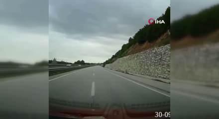Yola d&uuml;şen geyiğin yardımına koştu