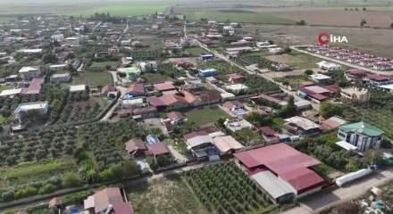 Hatay'da b&ouml;lge karantinaya alındı! Ağzından k&ouml;p&uuml;k gelen hayvanlar telef oldu