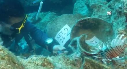 Antalya'da 4 bin 700 yıllık keşif! Kekova'daki batıktan tarih fışkırdı