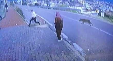 Bursa'da k&ouml;pekten ka&ccedil;arken y&uuml;ksekten atlayan &ccedil;ocuğun bacağı kırıldı