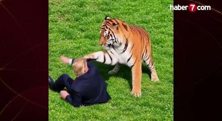 İngiltere'deki vahşeti paylaşıp dalga ge&ccedil;ti: Trump'tan tepki &ccedil;eken kaplan videosu