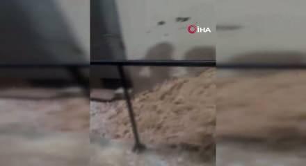 İstanbul Valiliği a&ccedil;ıkladı: 2 bin 518 ihbara 8 bin personelle m&uuml;dahale edildi